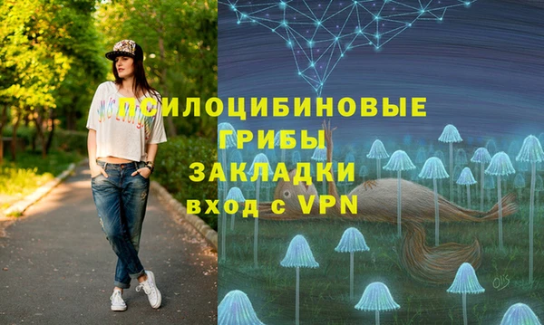 хмурый Богородск