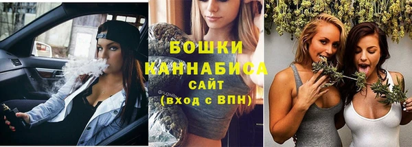 соль ск Богданович