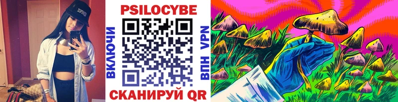 Псилоцибиновые грибы Magic Shrooms  даркнет клад  Дятьково  что такое  